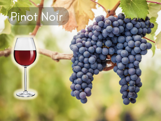 Classic beers Americans rarely order any longer, Jeff Eichinger, tips on cellaring beers, John Mahoney, Pinor Noir wines