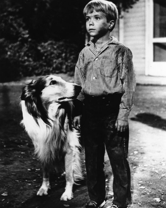 Jon Provost