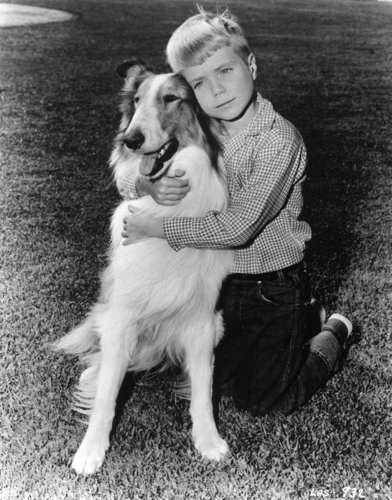 Jon Provost