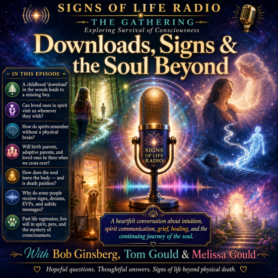 Downloads, Signs and the Soul Beyond
