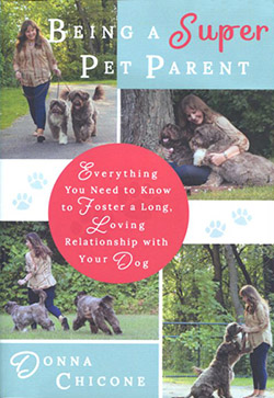 Being a Super Pet Parent