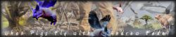 When Pigs Fly with Andrew Feder, banner