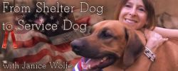 From Shelter Dog to Service Dog with Janice Wolfe