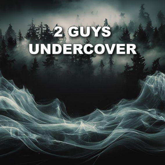 2 Guys Undercover