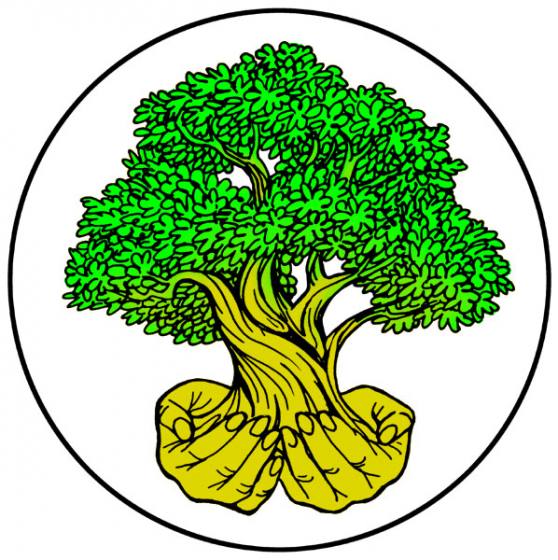 Natural, researched ways to treat Parkinson's Disease and supporting brain health through diet, exercise, targeted supplements, Chinese medicine, essential oils, and much more.