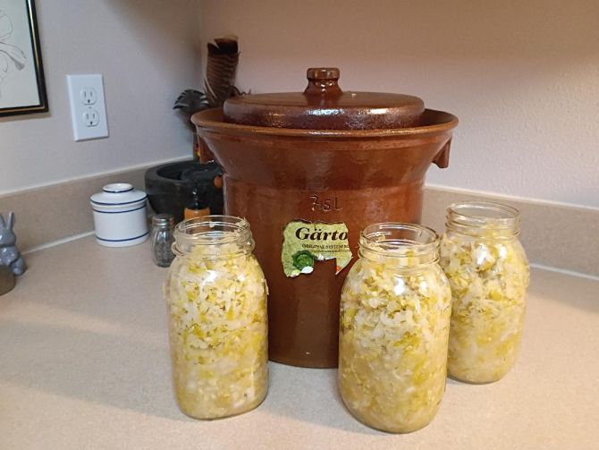 My batch of Sauerkraut 2025 Sauerkraut goodness